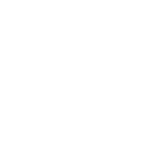 Features icon