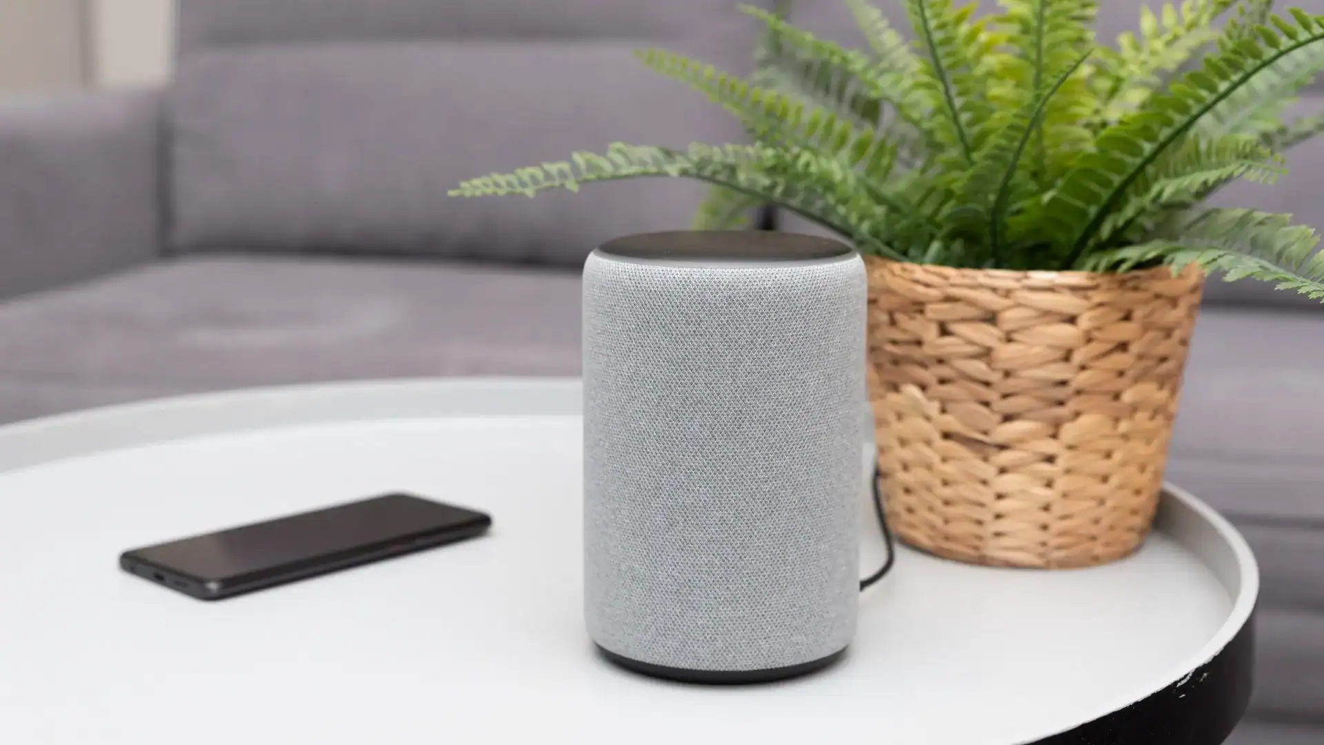 Featured image for “Using Voice Assistants (Alexa/Siri) as Auditory Memory Aids”